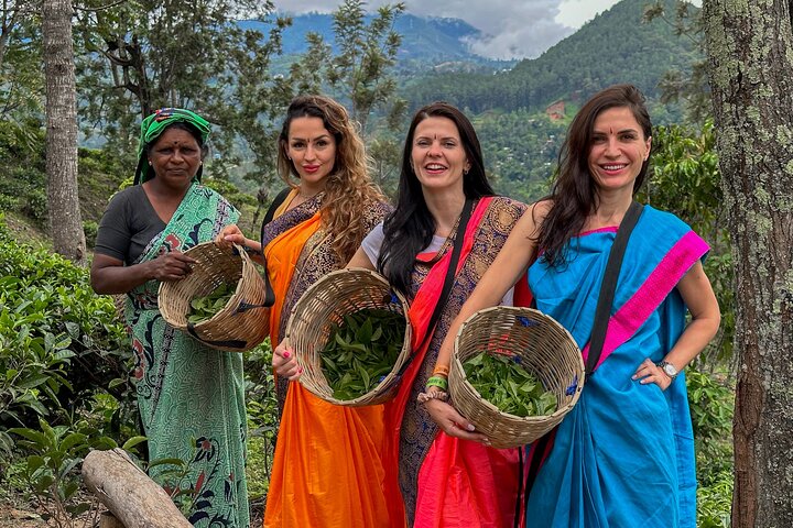 Tea Plantation Tour in Ella